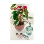 Blumat Plant Water Dripper Classic XL 2 pcs 3