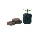 Jiffy Peat Discs 33mm 1pc