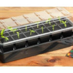 Garland Self Watering Propagator 37,5×13,5×16 1