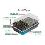 Garland Self Watering Propagator 37,5×13,5×16 4