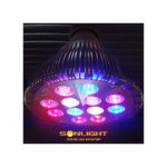 Sonlight Hyperled PAR38 – Agro Booster 4500K 16W – E27 3 –