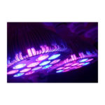Sonlight Hyperled PAR38 – Agro Booster 4500K 16W – E27 4