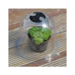 Verdemax Large Bell diam. 33xh29 cm 3