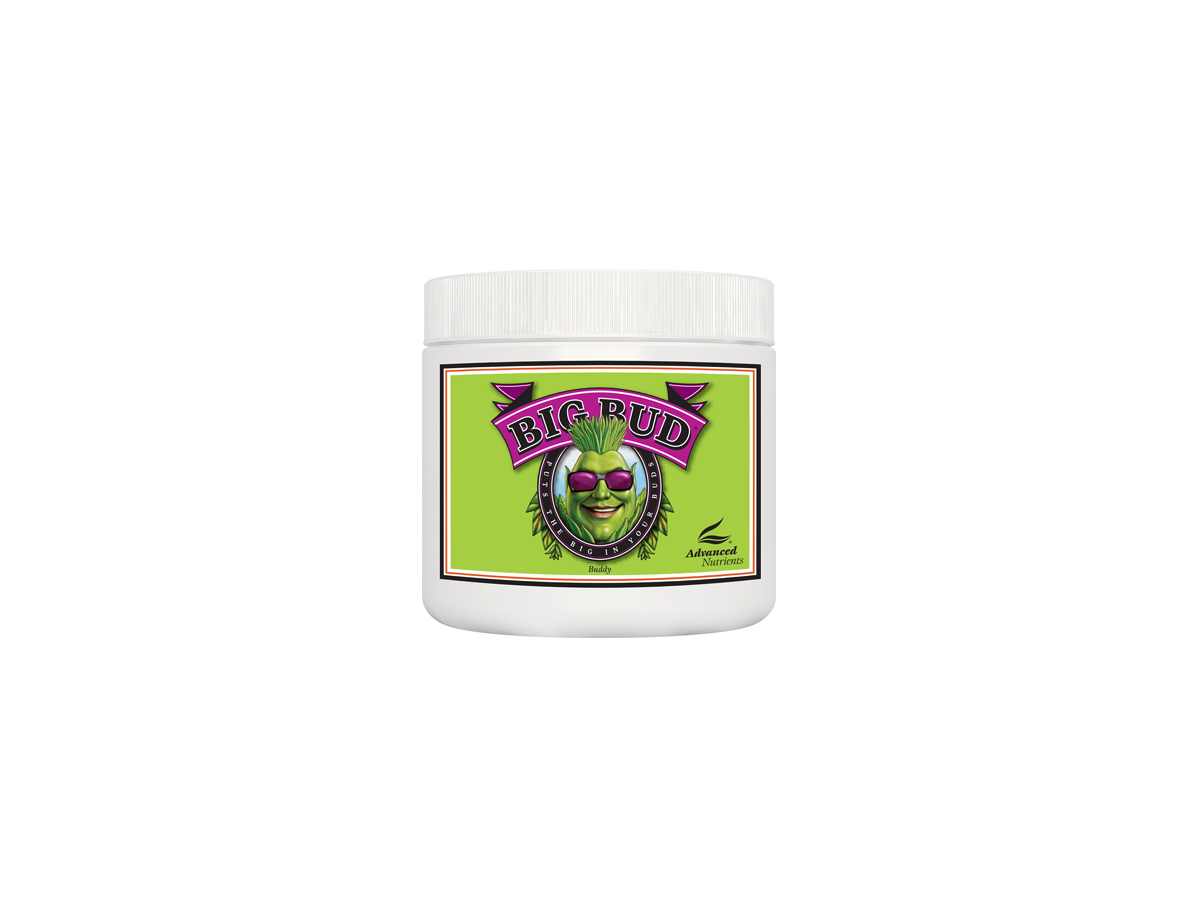 Big_Bud_Powder_500Gr