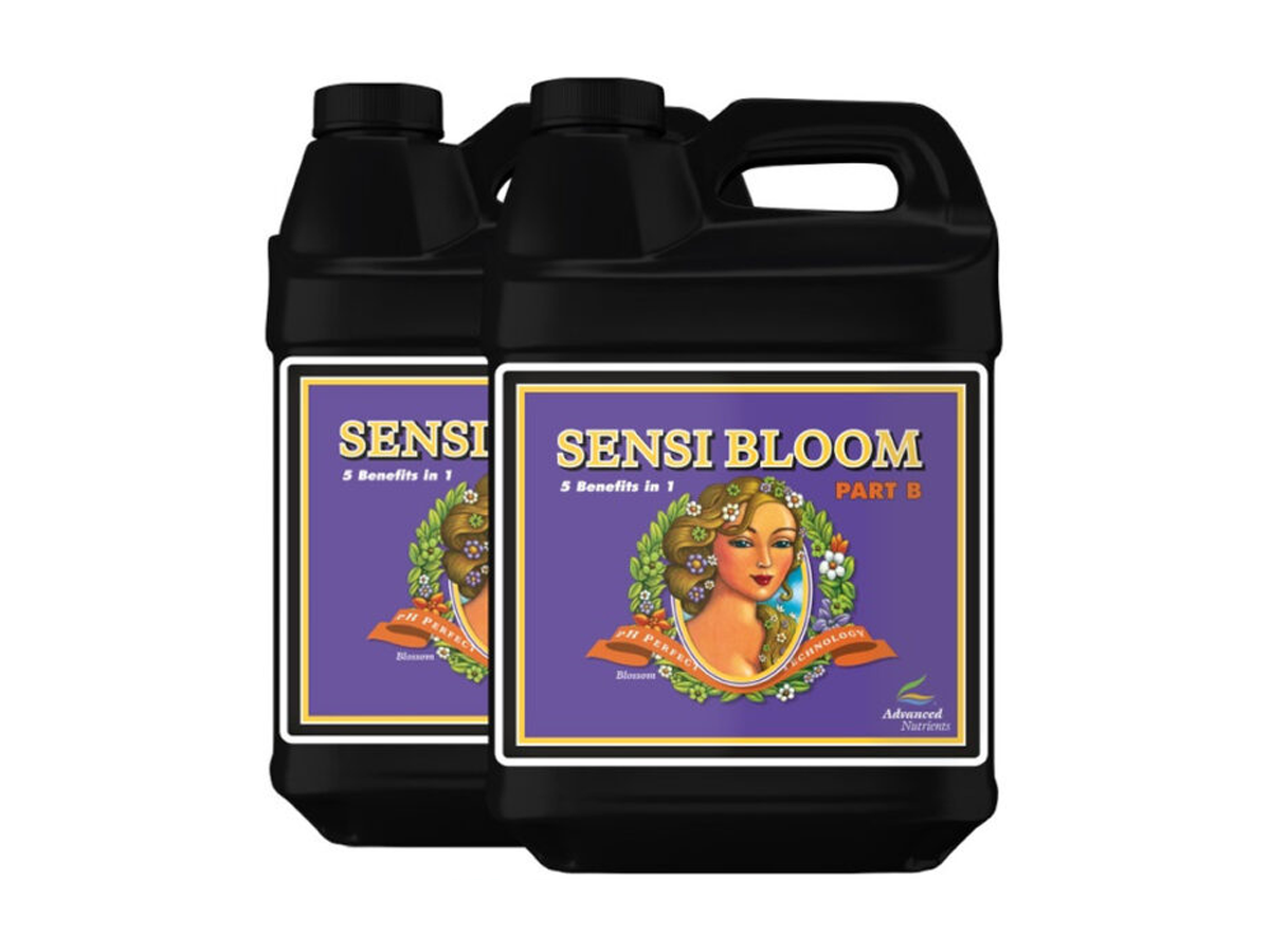 PhPerfect_Sensi_Bloom_10L